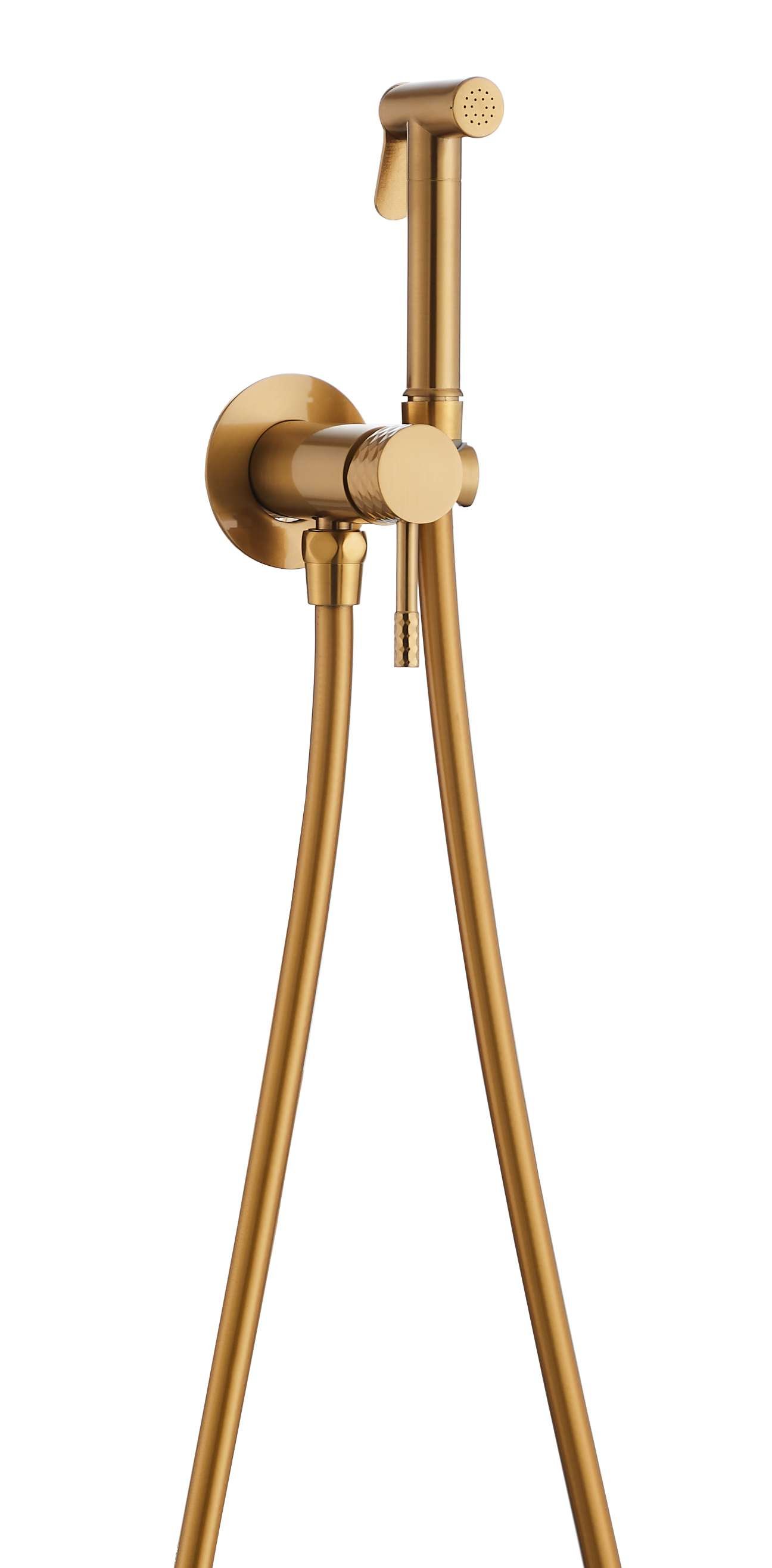 Gold Concealed Bidet Sprayer — BAOHUI HOME Bathroom Hardware