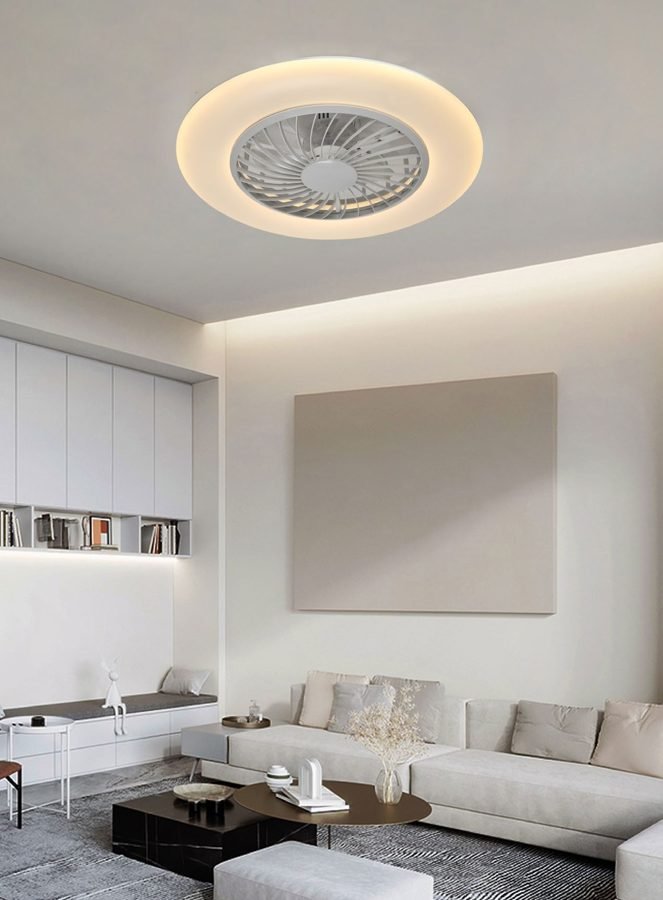 Fan Ceiling Light