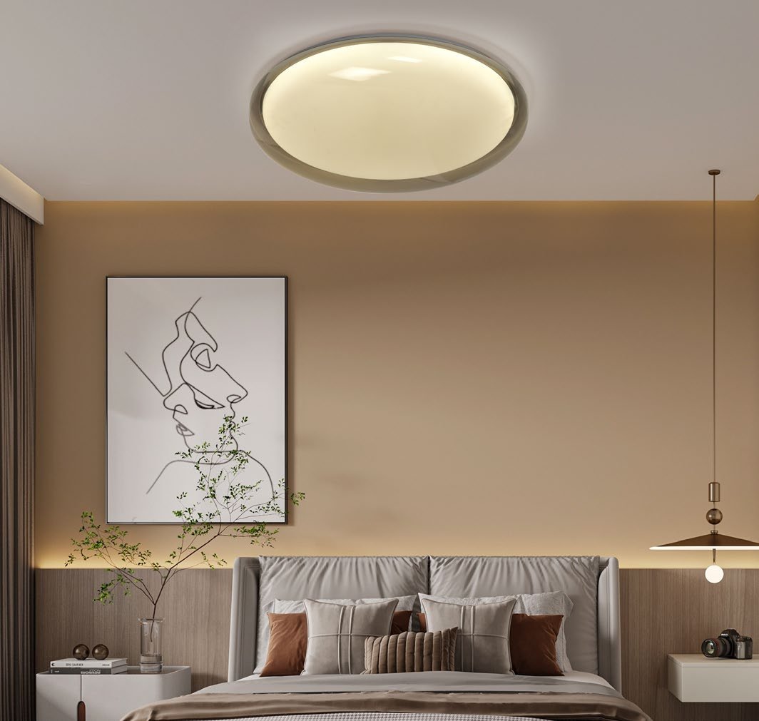 Surface Mount Ceiling Light detail 1 — BAOHUI HOME